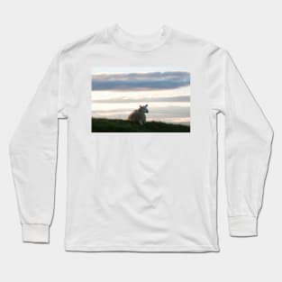 Inquisitive sheep at dawn - Isle of Skye, Scotland Long Sleeve T-Shirt